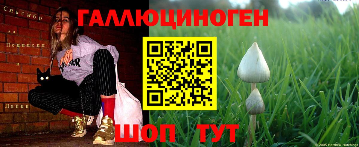 Ленинск-Кузнецкий  Псилоцибиновые грибы MAGIC MUSHROOMS  Вход с VPN  купить наркотик  Галлюциногенные грибы ЛСД 